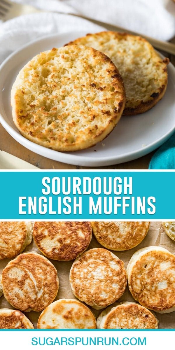 collage of sourdough english muffins, top image of sliced muffin toasted, bottom image of multiple muffins photographed from above.