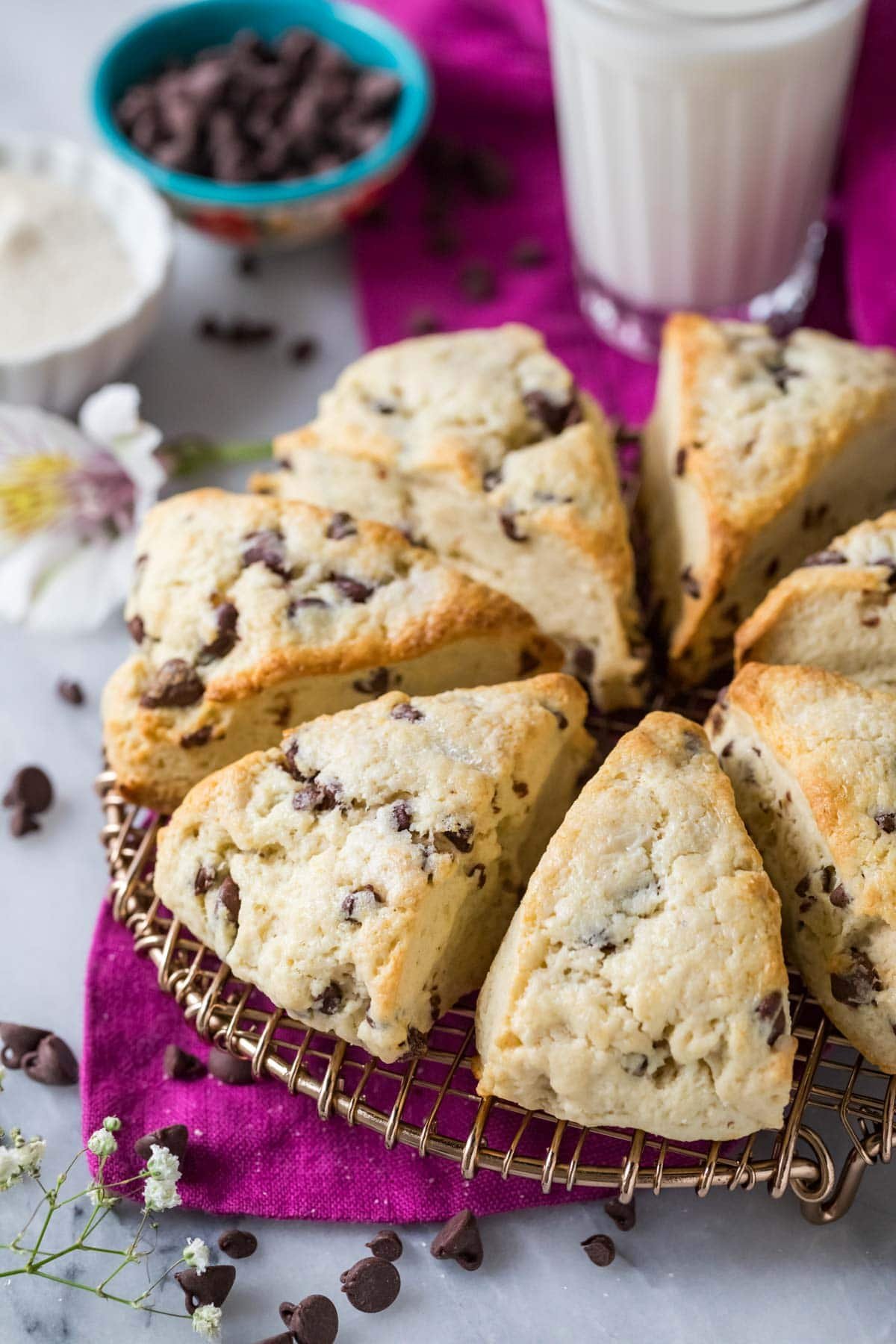 Chocolate chip sourdough scones arranged in a circle on a round cooling rack.