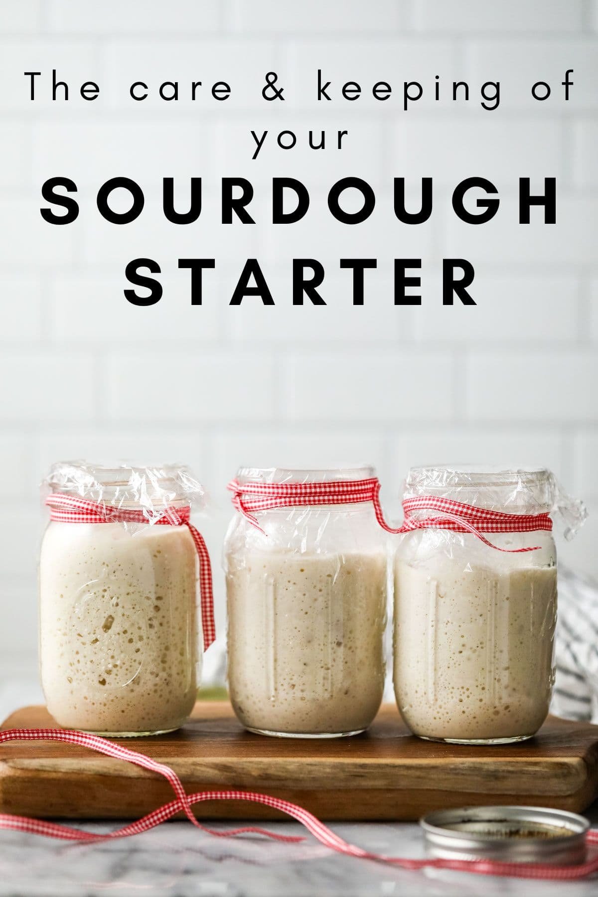 Image of 3 bubbly active sourdough starters on a wood board with white background