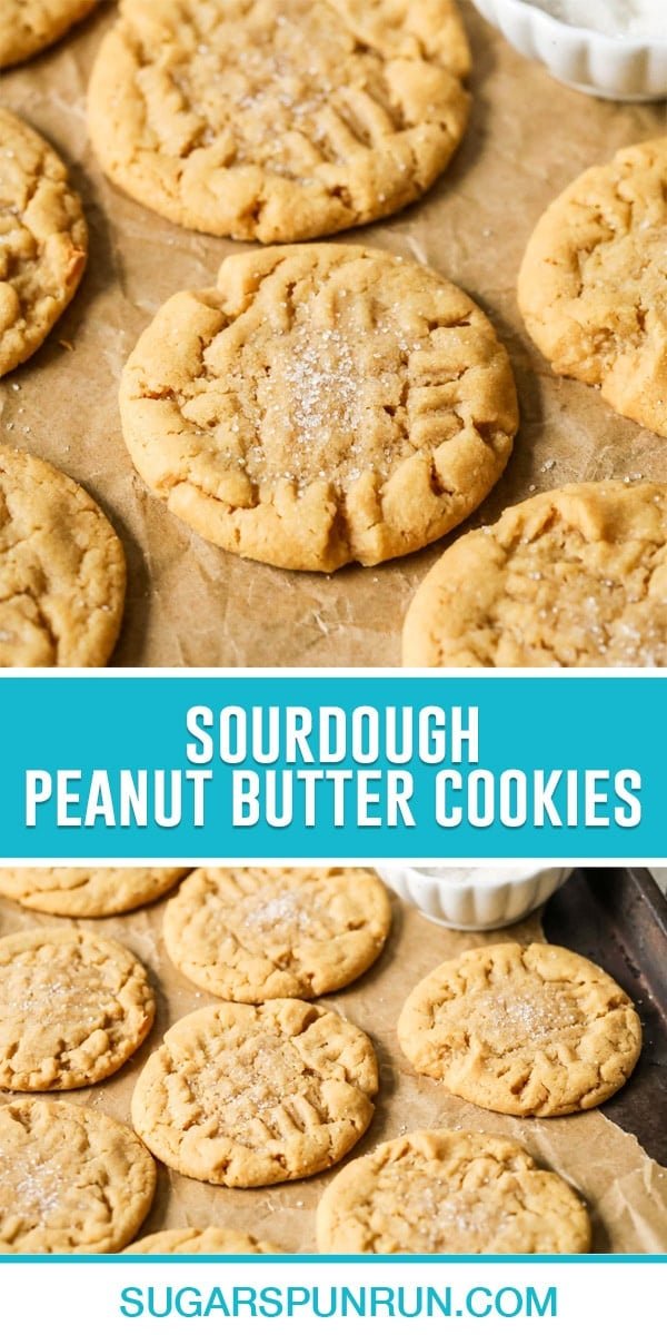 collage of sourdough peanut butter cookies, image is a close up of single cookie, bottom image of multiple cookies photographed further way.
