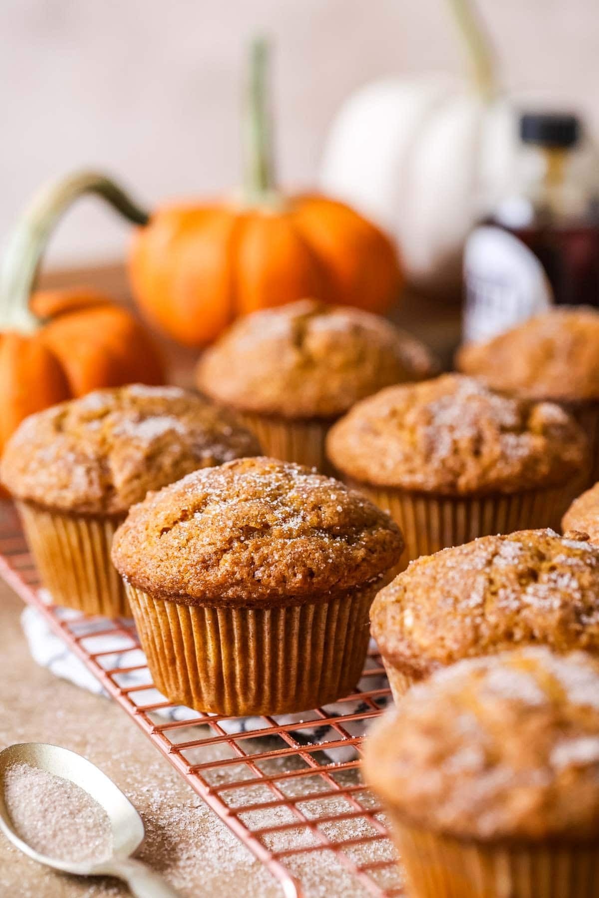 Sourdough pumpkin muffins topped with coarse sugar on a cooling rack.
