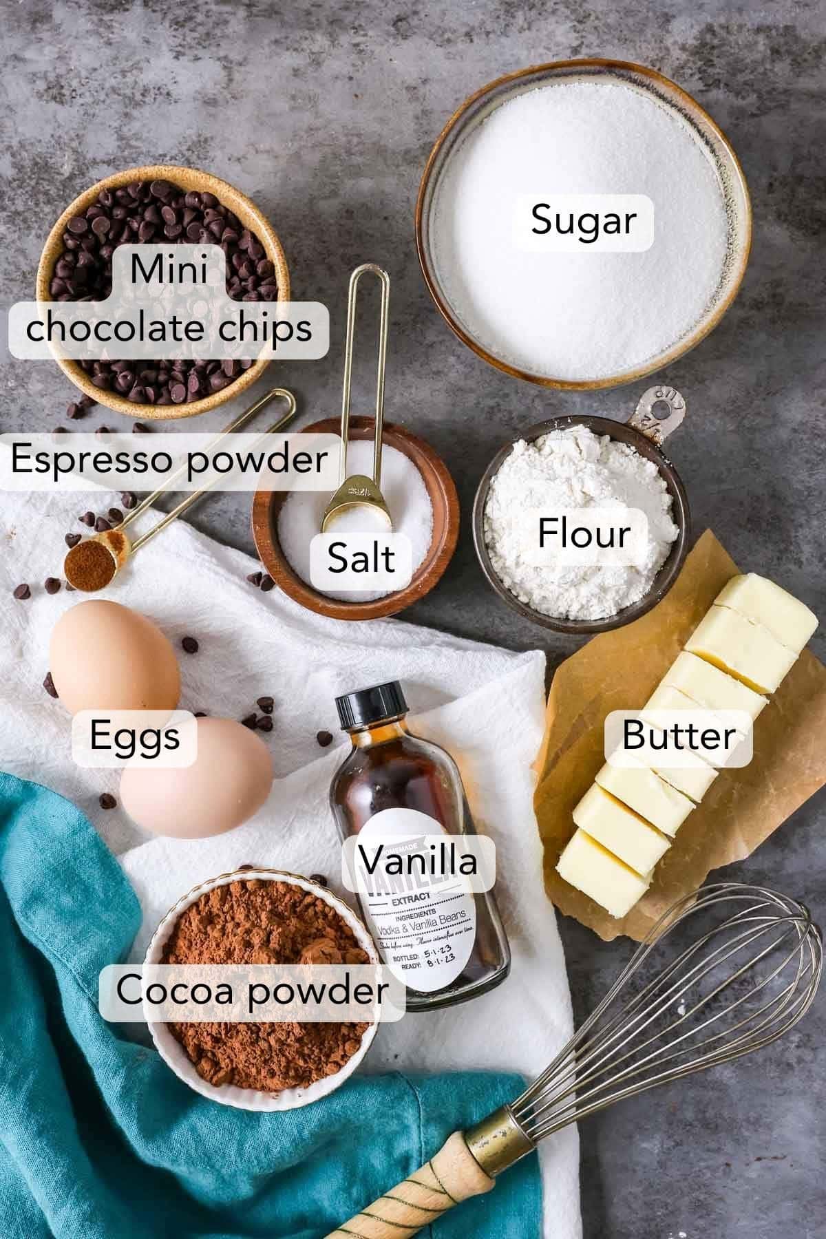 Overhead view of labeled ingredients including cocoa powder, eggs, butter, and more.