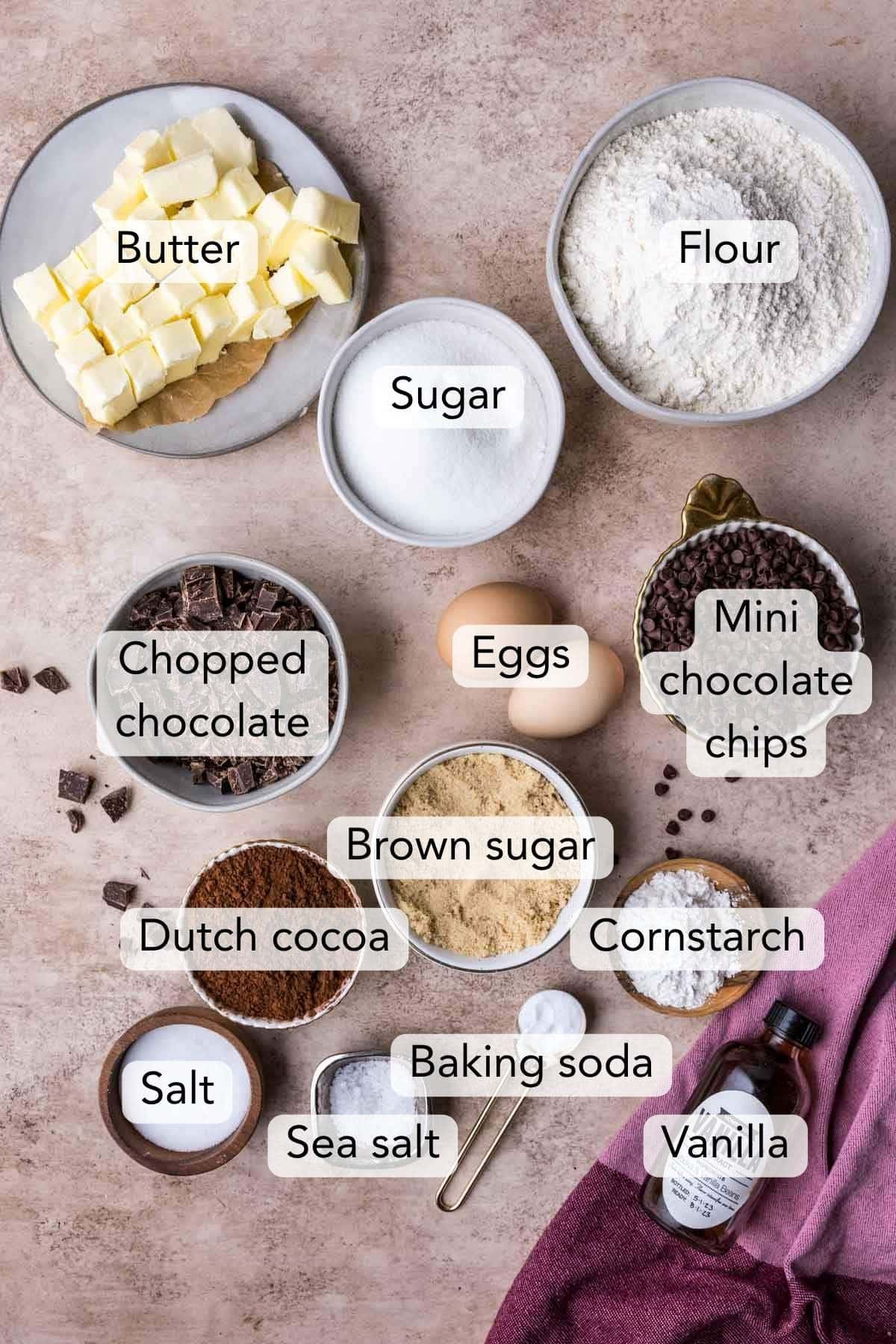 Overhead view of ingredients including cocoa powder, chocolate chips, butter, and more.